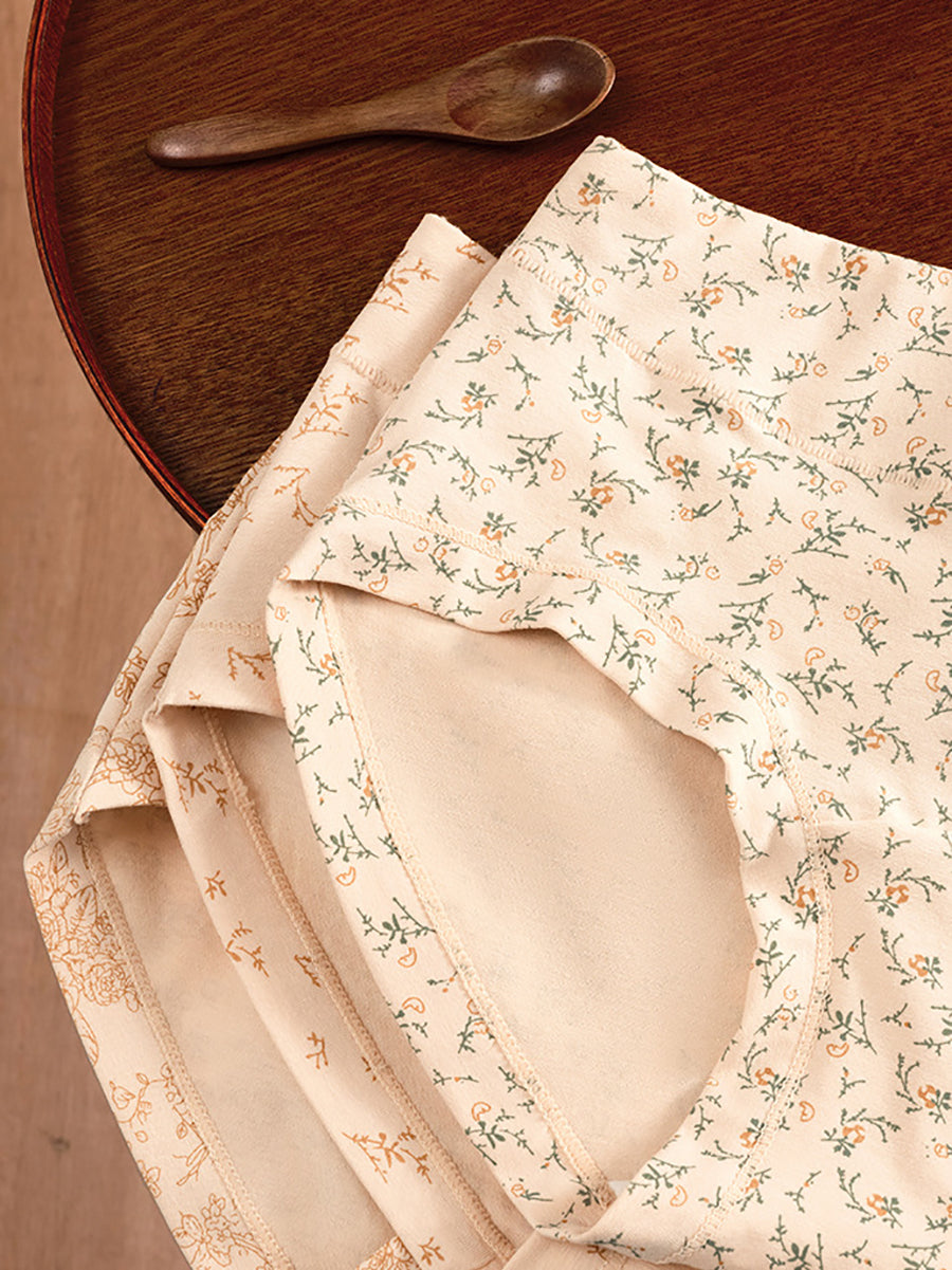 4 Pieces Women Artsy Floral High Waist Underwear