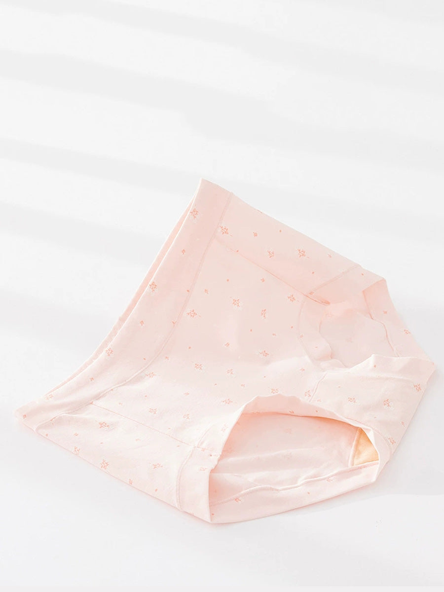 4 Pieces Women Artsy Floral High Waist Underwear