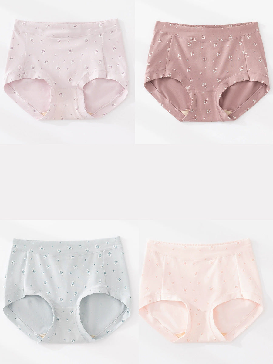 4 Pieces Women Artsy Floral High Waist Underwear