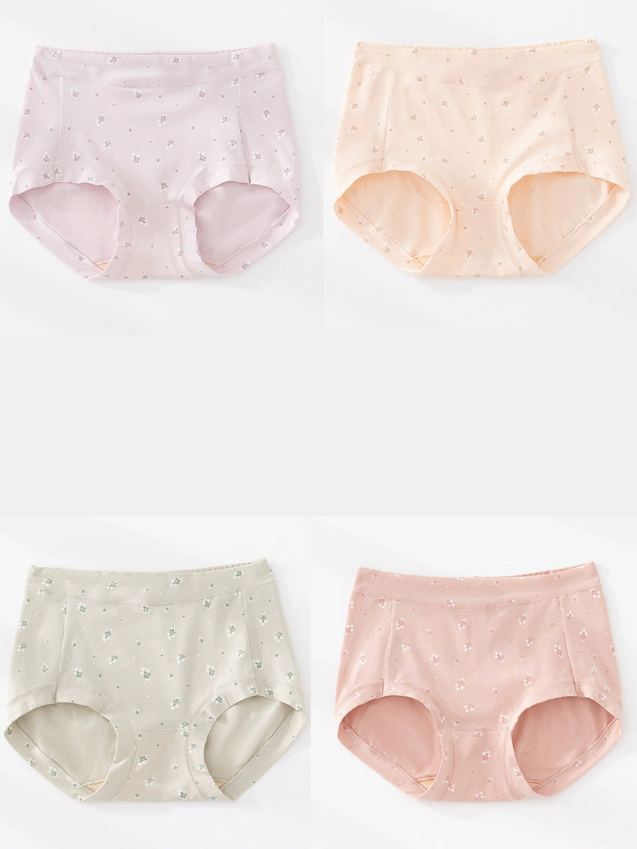 4 Pieces Women Artsy Floral High Waist Underwear