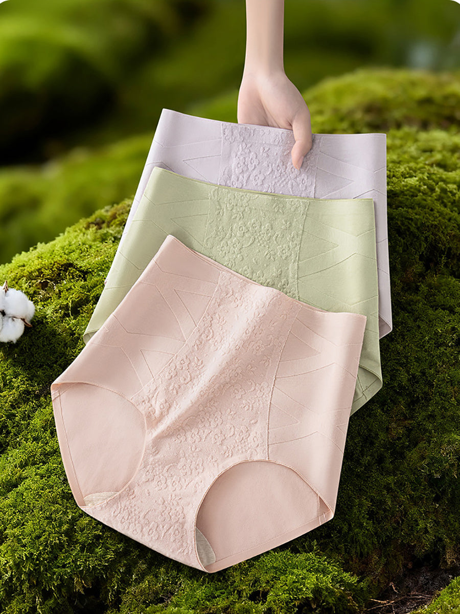 4 Pieces Women Artsy Jacquard High Waist Underwear